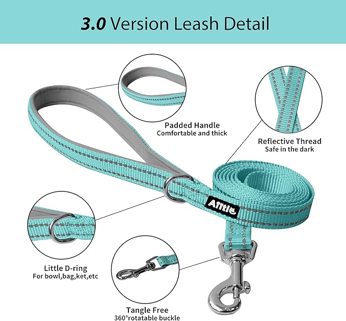 AIITLE Easy Walk Dog Harness and Leash Set - Pet Supply No Pull, Step in Adjustable Dog Harness with Padded Vest, No Choke Over, Easy to Put on Medium Dogs Pure Turquoise L