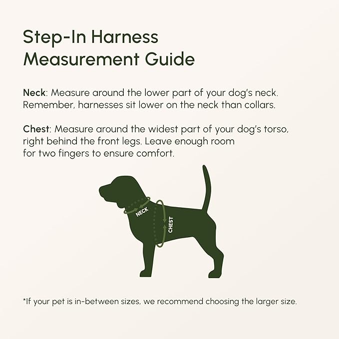 Downtown Pet Supply Step in Dog Harness for Large Dogs - Adjustable, Escape Proof Dog Harness with Reflective Trim - All-Weather, Fast-Drying Padded Mesh Fabric - Tangerine, XX-Small