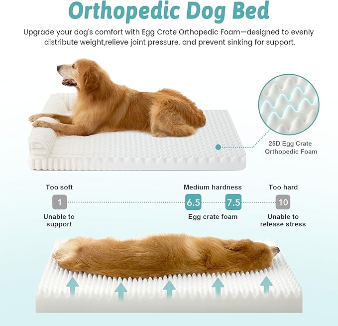 Cute Dog Bed, Faux Rabbit Fur Orthopedic Foam Dog Bed with Sides, Removable Washable Cover & Waterproof Lining, Comfortable Pet Couch for Medium Dogs, Cream (36" L x 27" W x 6.5" Th)