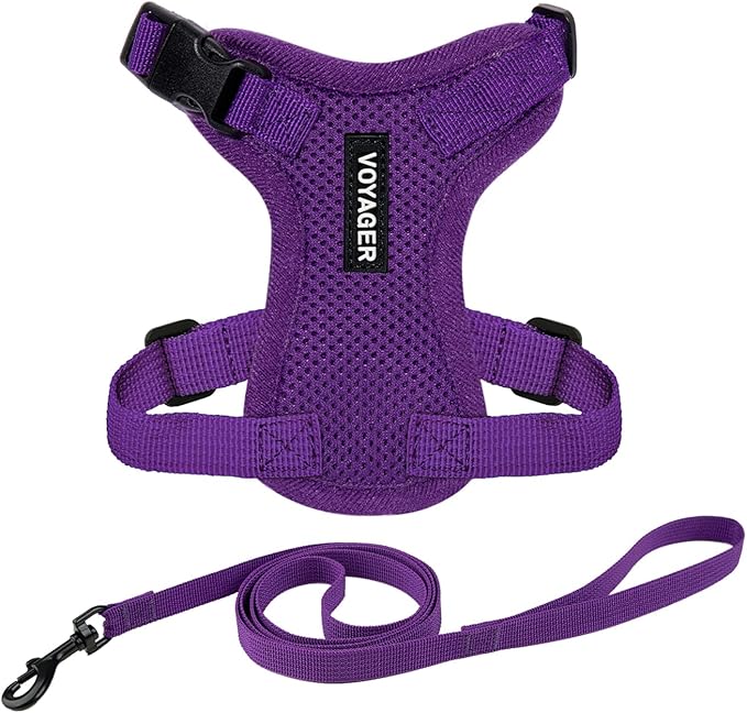 Voyager Escape-Proof Step-in Lock Cat Harness & 5ft Neoprene-Handle Leash Set All-Weather Mesh with Reflective Stitching for Small to Large Cats by Best Pet Supplies, Purple, XS