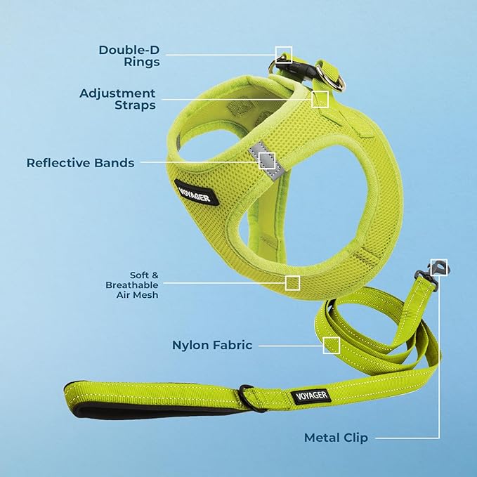 Best Pet Supplies Voyager Step-in Air All Weather Mesh Harness and Reflective Dog 5 ft Leash Combo with Neoprene Handle, for Small, Medium and Large Breed Puppies - Set (Lime Green), M