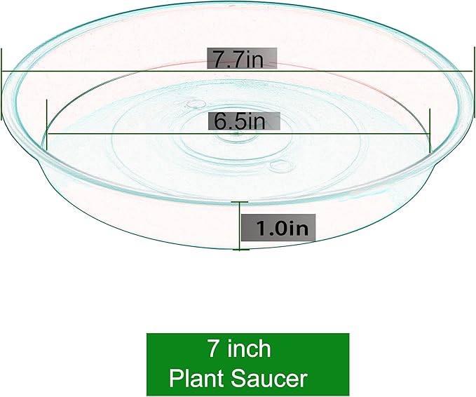 6 Pack of 7 inch Plant Saucer, Heavy Duty Plastic Plant Water Tray 7 inch Round, Flower Plant Saucers for Indoors No Holes, Plant Dishes Saucer for Planter 7"/8" (7", Blue)