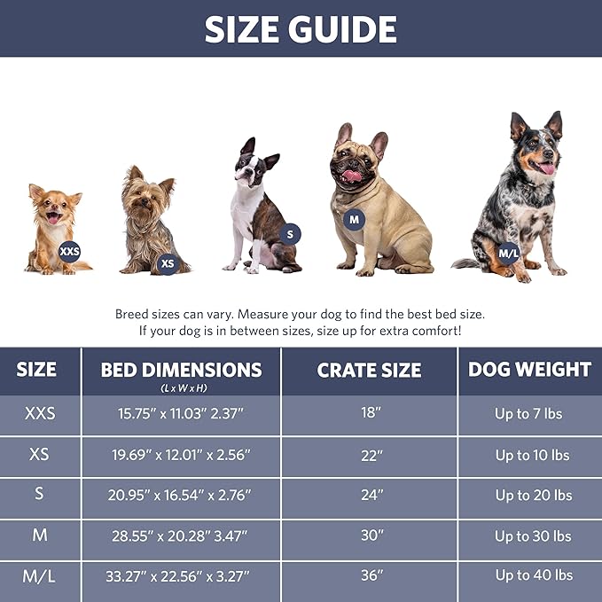 MidWest Homes for Pets QuietTime Fashion XXS Dog Bed – Blue Faux Fur Bolster, Ultra-Soft and Machine Washable, Fits 18-Inch Crates and Carriers, for Small Dogs and Cats