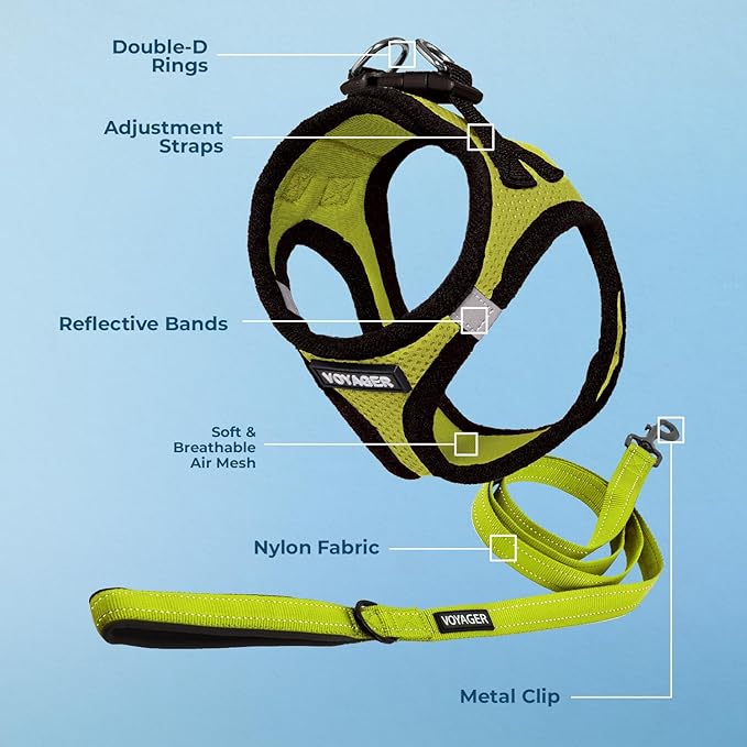 Best Pet Supplies Voyager Step-in Air All Weather Mesh Harness and Reflective Dog 5 ft Leash Combo with Neoprene Handle, for Small, Medium and Large Breed Puppies - Lime/Black Trim, X-Small