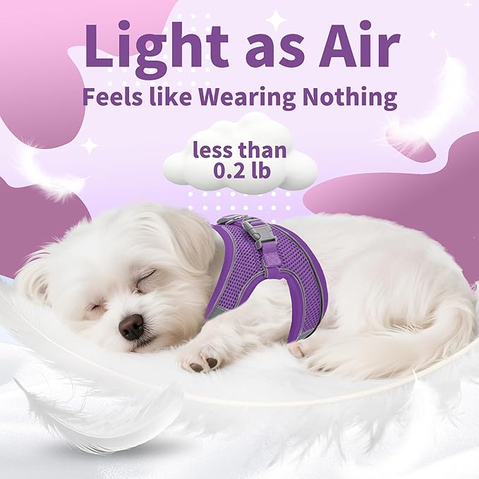 AIITLE Comfortable Dog Harness and Leash Set for Walking - Step in Vest Harness,Reflective Bands, Adjustable No Pull Puppy Essentials, for Small Dogs and House Cats Pure Purple XS