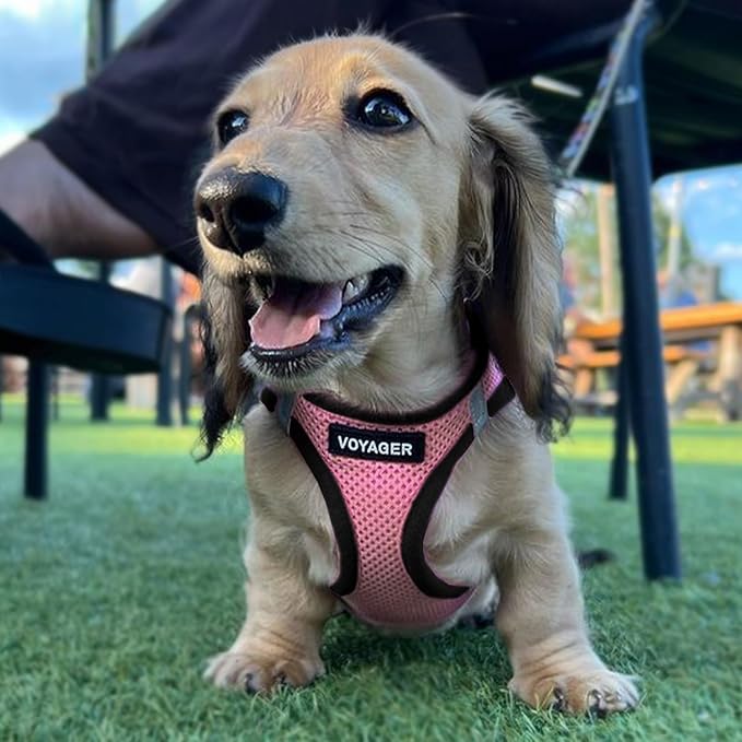 Best Pet Supplies - All Weather Mesh / Plush, Reflective, No Pull Harness for Small, Medium Dogs, Cats - Secure with Hook & Loop Fastener, Buckle, Double D-Rings - Pink/Black Trim, L