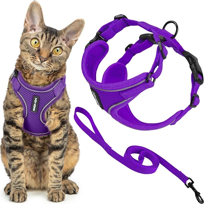Voyager Escape-Proof Step-in Lock Cat Harness & 5ft Neoprene-Handle Leash Set All-Weather Mesh with Reflective Stitching for Small to Large Cats by Best Pet Supplies, Purple (327), XS