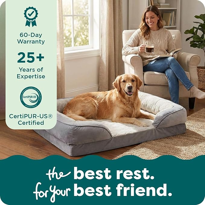 Furhaven Memory Foam Dog Bed for Medium/Small Dogs w/ Removable Bolsters & Washable Cover, For Dogs Up to 35 lbs - Plush & Velvet Waves Perfect Comfort Sofa - Celadon Green, Medium