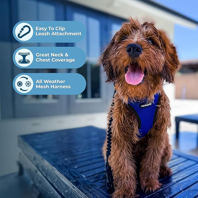 Best Pet Supplies Voyager Step-in Air All Weather Mesh Harness and Reflective Dog 5 ft Leash Combo with Neoprene Handle, for Small, Medium and Large Breed Puppies - Royal Blue/Black Trim, XXX-Small