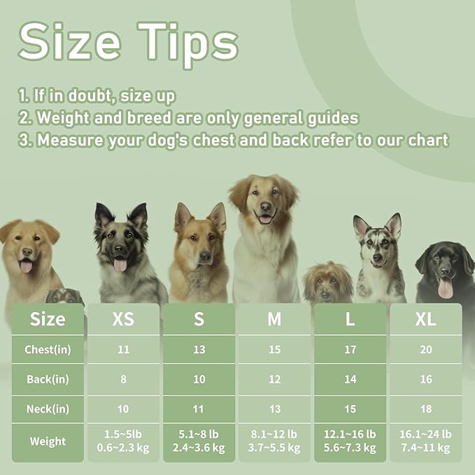 Dog Clothes, Stripe Dogs Shirts for Small & Medium Breeds, Pet Tank Top, Breathable Waffle Fabric Puppy Outfit, Shirt for Chihuahua, Yorkie, Dachshund, Corgi (Green, Large)