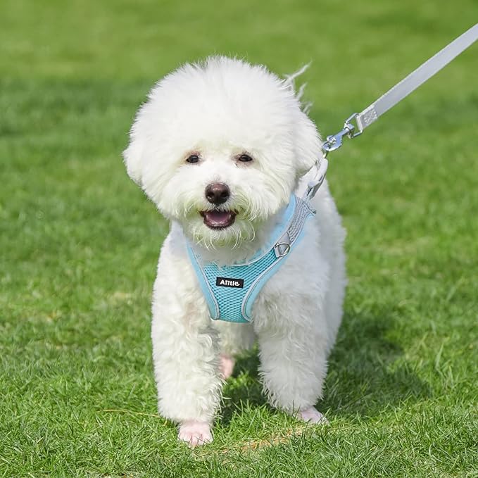 AIITLE Comfortable Dog Harness and Leash Set for Walking - Step in Vest Harness,Reflective Bands, Adjustable No Pull Puppy Essentials, for Small Dogs and House Cats Blue XS