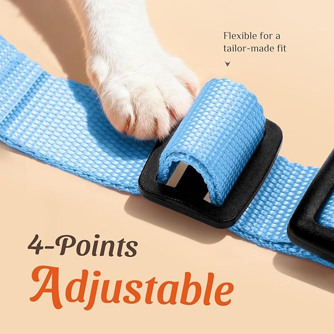 Dooradar Cat Harness and Leash Set, Escape Proof Safe Adjustable Kitten Vest Harnesses for Walking, Easy Control Soft Breathable Mesh Jacket with Reflective Strips for Cats, Light Blue, S