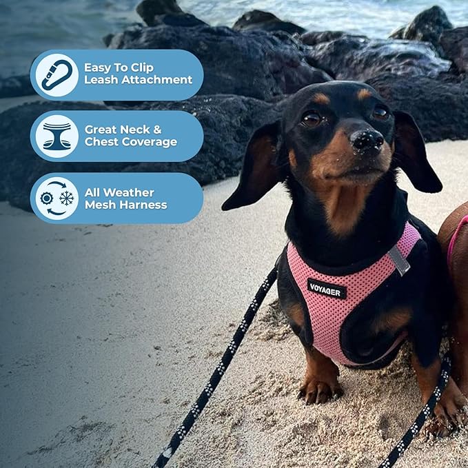 Best Pet Supplies - All Weather Mesh / Plush, Reflective, No Pull Harness for Small, Medium Dogs, Cats - Secure with Hook & Loop Fastener, Buckle, Double D-Rings - Pink/Black Trim, L