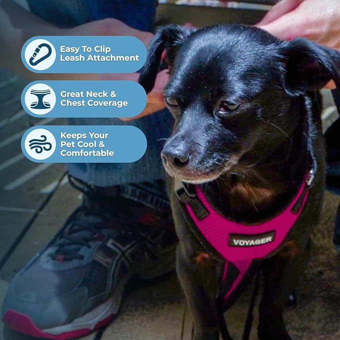 Voyager Step-in Pet Harness - All Weather Mesh, Adjustable Step in Harness for Cats and Dogs by Best Pet Supplies - Fuchsia/Black Trim, S
