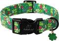 St Patricks Day Dog Collar for Small Dogs - Lucky Flower Shamrock Green Dog Collars, Cute Irish Clover Puppy Collar with Quick Release Buckle for Girls&Boys Dogs XS