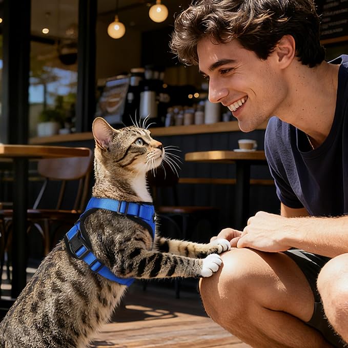 Dooradar Cat Harness and Leash Set, Escape Proof Safe Adjustable Kitten Vest Harnesses for Walking, Easy Control Soft Breathable Mesh Jacket with Reflective Strips for Cats, Blue, XS