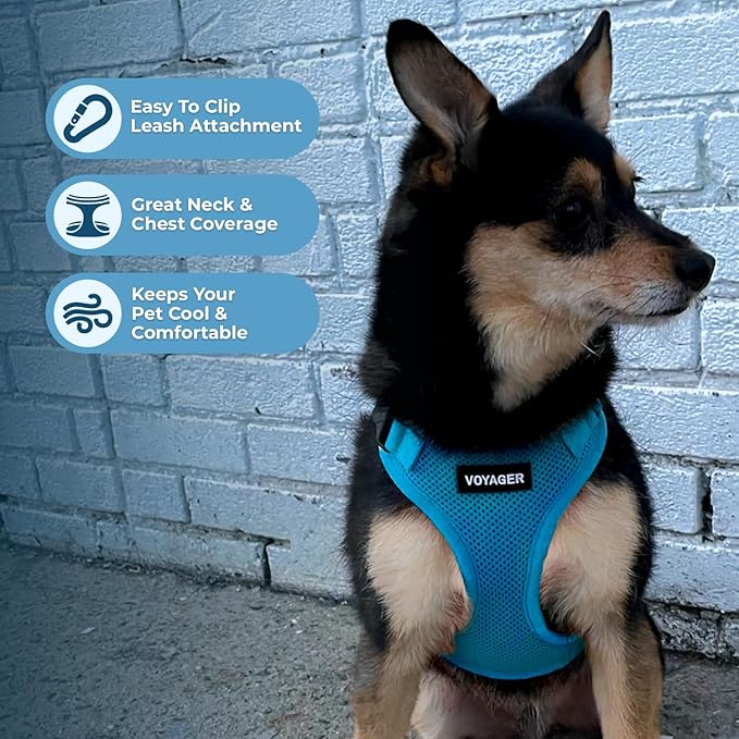 Voyager Step-in Pet Harness - All Weather Mesh, Adjustable Step in Harness for Cats and Dogs by Best Pet Supplies - Turquoise, XL