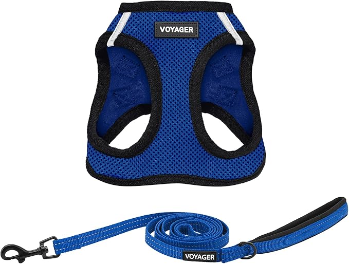 Best Pet Supplies Voyager Step-in Air All Weather Mesh Harness and Reflective Dog 5 ft Leash Combo with Neoprene Handle, for Small, Medium and Large Breed Puppies - Royal Blue/Black Trim, X-Large