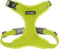 Voyager Step-in Pet Harness - All Weather Mesh, Adjustable Step in Harness for Cats and Dogs by Best Pet Supplies - Lime Green, XL