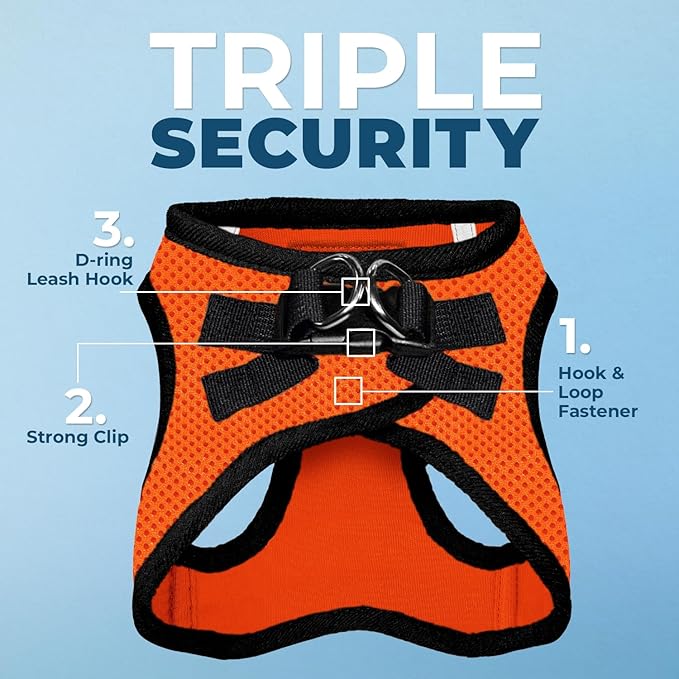 Best Pet Supplies Voyager Step-in Air All Weather Mesh Harness and Reflective Dog 5 ft Leash Combo with Neoprene Handle, for Small, Medium and Large Breed Puppies - Orange/Black Trim, Small
