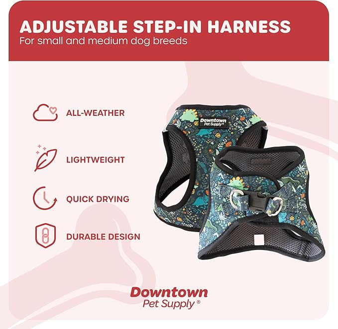 Downtown Pet Supply Step-in Dog Harness – No Pull, Adjustable Padded Mesh with Reflective Trim, Secure Buckle Strap – Comfortable & Breathable Small Dog Harness, XX-Small, Dinosaur