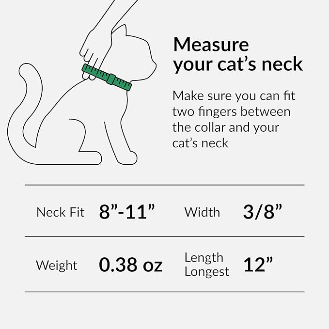 CollarDirect Leather Cat Collar, Cat Safety Collar with Elastic Strap, Kitten Collar for Cat with Bell Black Blue Red Orange Lime Green (Neck Fit 8"-11", Mint Green)