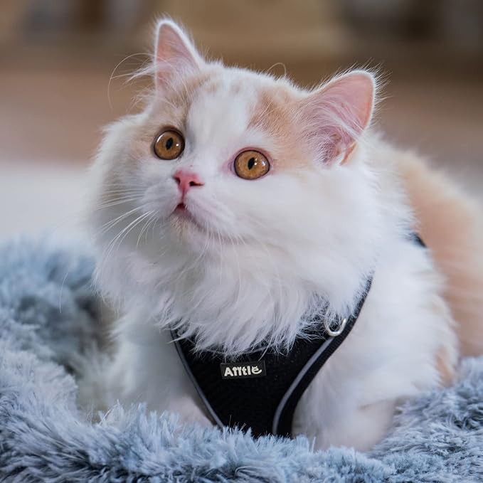 AIITLE Small Harness for Puppy with A Leash - Dog Vest Harness with Super Breathable Mesh, Reflective No-Pull Pet Harness for Outdoor Walking, Running for Small Dogs, Cats Black XXS