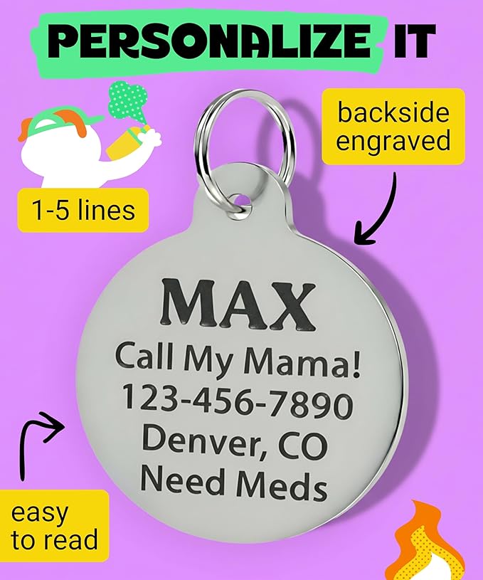 Bad Tags Personalized Dog and Cat ID Tags in 25+ Designs and 2 Sizes - 5 Lines of Custom Engraved Text - Funny Cute Personalized Pet Tags (Branch Manager, Large (1.25 inch))