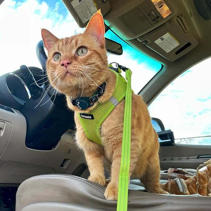 Best Pet Supplies Voyager Step-in Air All Weather Mesh Harness and Reflective Dog 5 ft Leash Combo with Neoprene Handle, for Small, Medium and Large Breed Puppies - Set (Lime Green), M