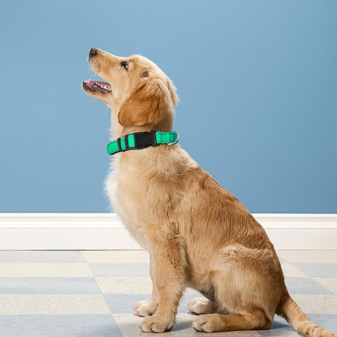 Reflective Dog Collar, Adjustable Soft Neoprene Padded Nylon Pet Collars with Buckle for Extra Large Dogs, Grass Green,XL