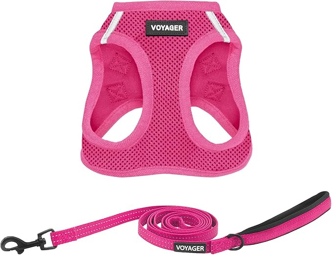 Best Pet Supplies Voyager Step-in Air All Weather Mesh Harness and Reflective Dog 5 ft Leash Combo with Neoprene Handle, for Small, Medium and Large Breed Puppies - Set (Fuchsia), M