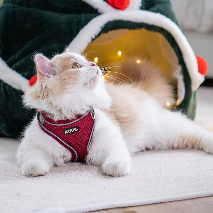 AIITLE Comfortable Dog Harness and Leash Set for Walking - Christmas Step in Vest Harness,Reflective Bands, Adjustable No Pull Puppy Essentials, for Small Dogs and House Cats Burgundy XS