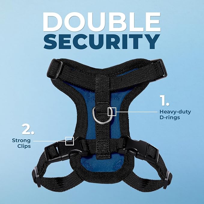 Voyager Escape-Proof Step-In Lock Cat Harness & 5ft Neoprene-Handle Leash Set All-Weather Mesh with Reflective Stitching For Small to Large Cats by Best Pet Supplies, Royal Blue/Black Trim, S