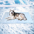 BECEMURU Dog Cooling Mat - 36" x 23" Reversible Cooling Pad for Crate, Kennel, Bed, Sofa - Machine Washable, Durable, Non-Gel - Keep Your Pet Cool and Comfortable (Cloud-XL: 55" L x 37" W x 0.8" Th)