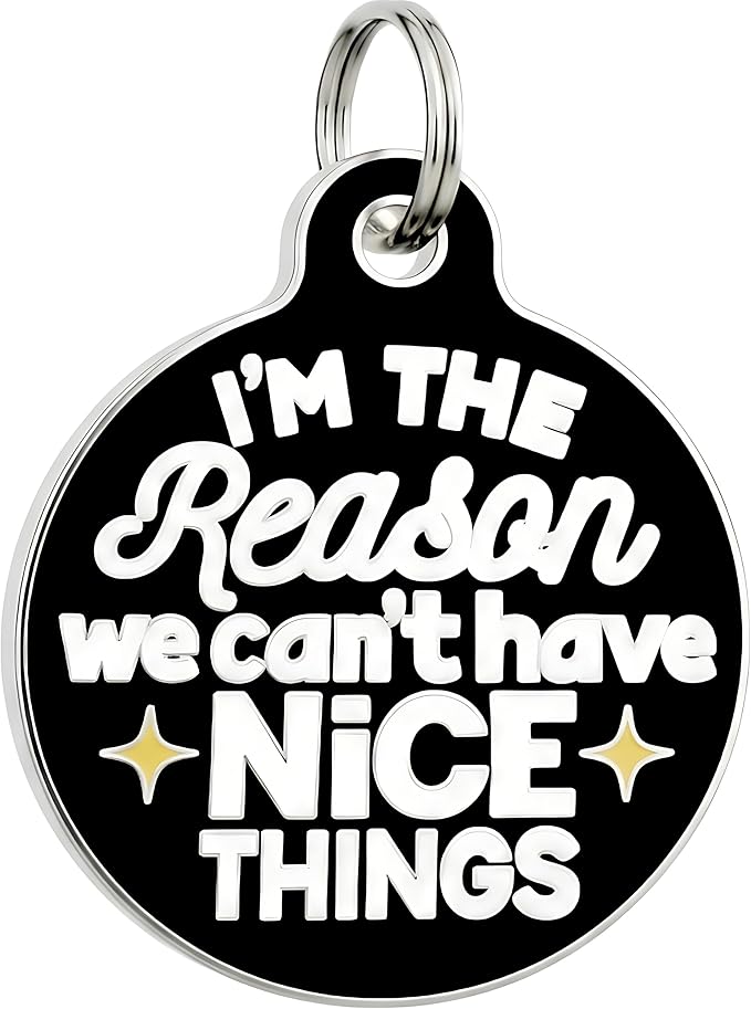 Bad Tags Personalized Dog and Cat ID Tags in 25+ Designs and 2 Sizes - 5 Lines of Custom Engraved Text - Funny Cute Personalized Pet Tags (I'm The Reason We Can't Have Nice Things, Small (1 inch))