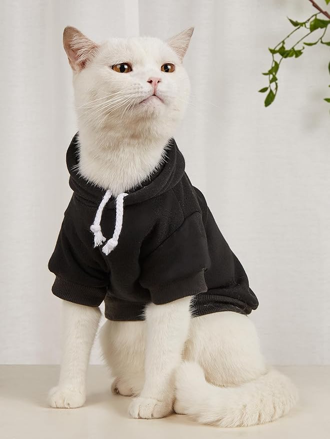 QWINEE Basic Dog Hoodie Sweatshirt Puppy Sweater Warm Cat Costumes Pet Clothes for Chihuahua Puppy Kitten Small Medium Dogs Multicolored Large