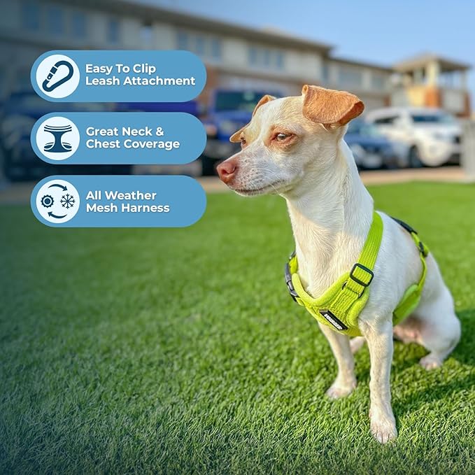 Best Pet Supplies Voyager Step-in Air All Weather Mesh Harness and Reflective Dog 5 ft Leash Combo with Neoprene Handle, for Small, Medium and Large Breed Puppies - Set (Lime Green), XL