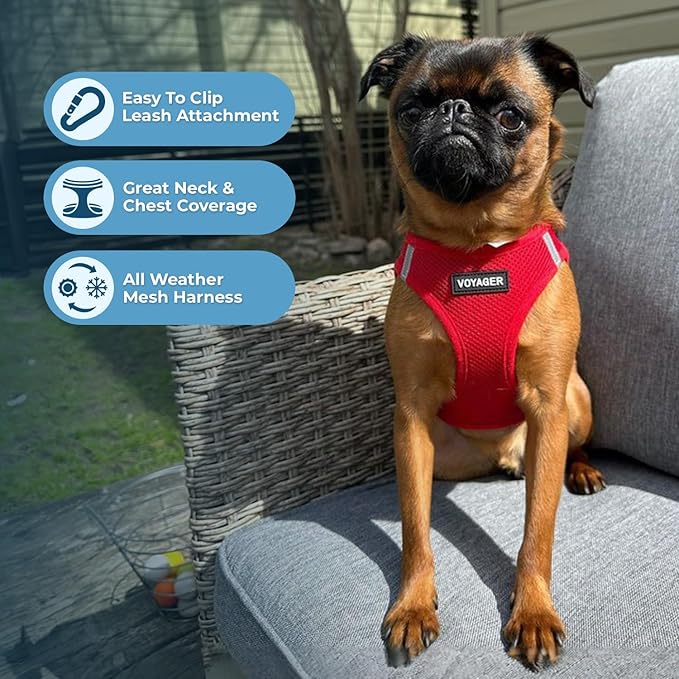 Best Pet Supplies Voyager Step-in Air All Weather Mesh Harness and Reflective Dog 5 ft Leash Combo with Neoprene Handle, for Small, Medium and Large Breed Puppies - Set (Red), M (Chest: 16-18")
