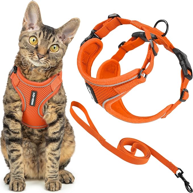 Voyager Escape-Proof Step-in Lock Cat Harness & 5ft Neoprene-Handle Leash Set All-Weather Mesh with Reflective Stitching for Small to Large Cats by Best Pet Supplies, Orange (327), XXXS