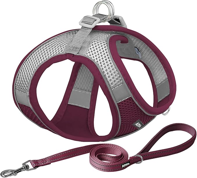 AIITLE Comfortable Dog Harness and Leash Set for Walking - Christmas Step in Vest Harness,Reflective Bands, Adjustable No Pull Puppy Essentials, for Small Dogs and House Cats Burgundy XS