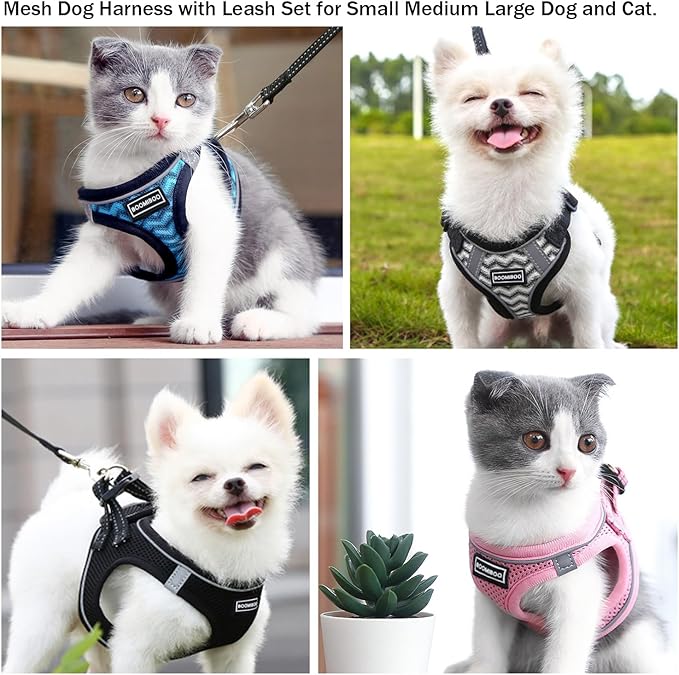 Dog Harness with Leash Set, No Pull Adjustable Reflective Step-in Puppy Pet Vest Harnesses for Small Medium Large Dogs and Cats,Sky Blue S
