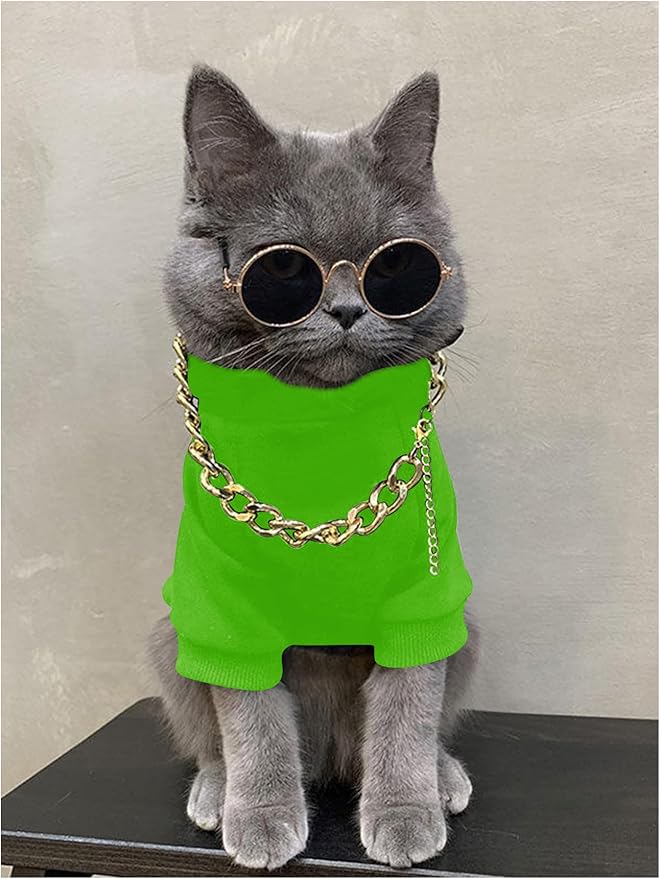 QWINEE 3Pcs Dog Hoodie Cat Apparel Dog Custume Set with Necklace and Sunglasses Pet Clothes for Puppy Small Medium Dogs Cats Green X-Small