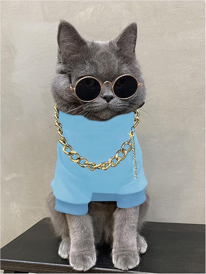 QWINEE 3Pcs Dog Hoodie Cat Apparel Dog Custume Set with Necklace and Sunglasses Pet Clothes for Puppy Small Medium Dogs Cats Light Blue Large
