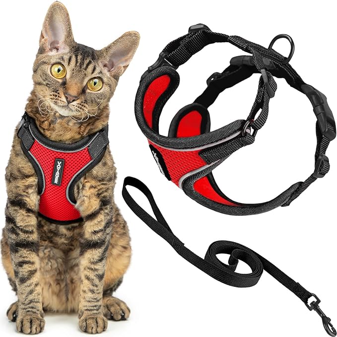 Voyager Escape-Proof Step-in Lock Cat Harness & 5ft Neoprene-Handle Leash Set All-Weather Mesh with Reflective Stitching for Small to Large Cats by Best Pet Supplies, Black Trim-Red (327), XXXS