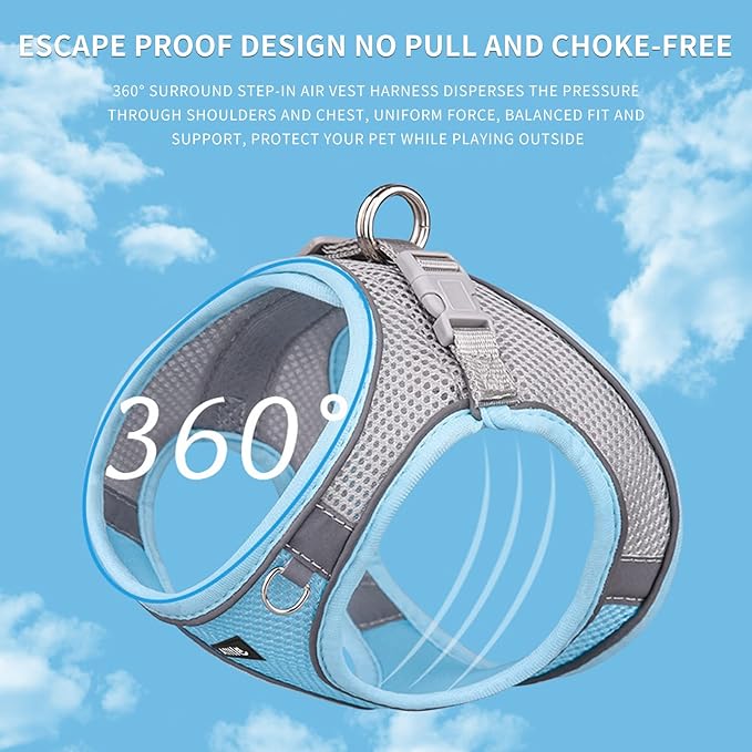 AIITLE Comfortable Dog Harness and Leash Set for Walking - Step in Vest Harness,Reflective Bands, Adjustable No Pull Puppy Essentials, for Small Dogs and House Cats Blue XS