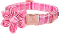 Lionheart Glory Dog Collar, Pink Dog Collar with Flower, Cute Floral Pattern Pet Collar Adjustable Pet Collar for Small Dogs
