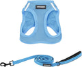 Best Pet Supplies Voyager Step-in Air All Weather Mesh Harness and Reflective Dog 5 ft Leash Combo with Neoprene Handle, for Small, Medium and Large Breed Puppies - Set (Baby Blue), XXS