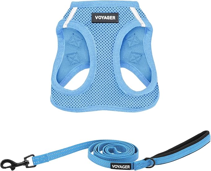 Best Pet Supplies Voyager Step-in Air All Weather Mesh Harness and Reflective Dog 5 ft Leash Combo with Neoprene Handle, for Small, Medium and Large Breed Puppies - Set (Baby Blue), M