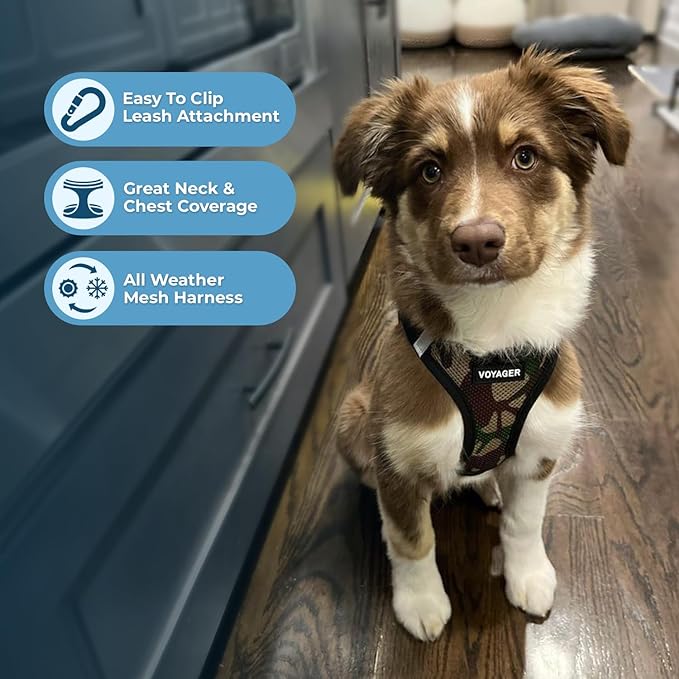 Best Pet Supplies Voyager Step-in Air Harness - All Weather Mesh, Reflective, No Pull Harness for Dogs, Cats - Secure with Hook & Loop Fastener, Buckle, Double D-Rings - Army/Black Trim, L