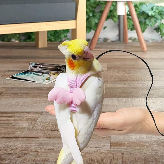 Dnoifne Parrot Harness and Leash, Adjustable Training Design Anti-Bite, Nylon Rope with Cute Wing for Parrots, Suitable for Alexandrine, Scarlet, Keck, Mini Macaw & Same Size Bird (pink)